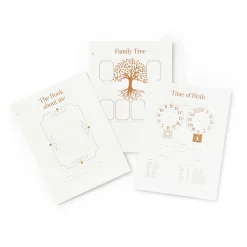 Baby Album Insert Paper - My First Year Multi