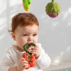 Bitleksak / Skallra Tomat Rattle