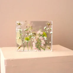 Blompress Ängsfälla