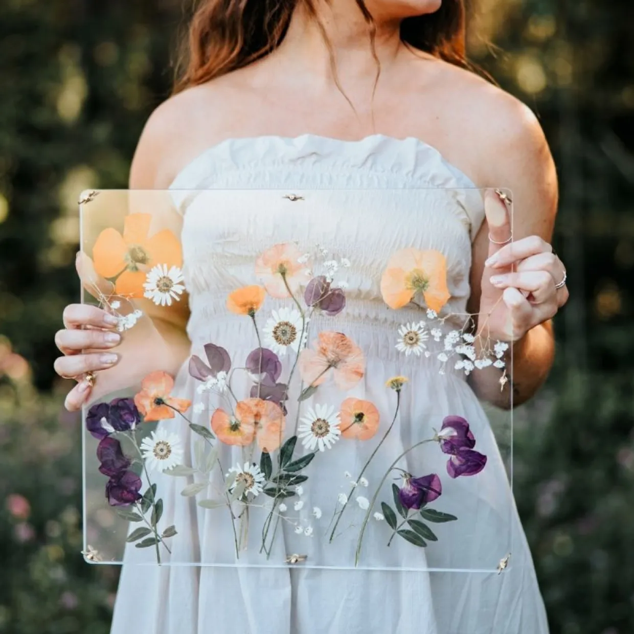 Blompress Ängsfälla Fönster