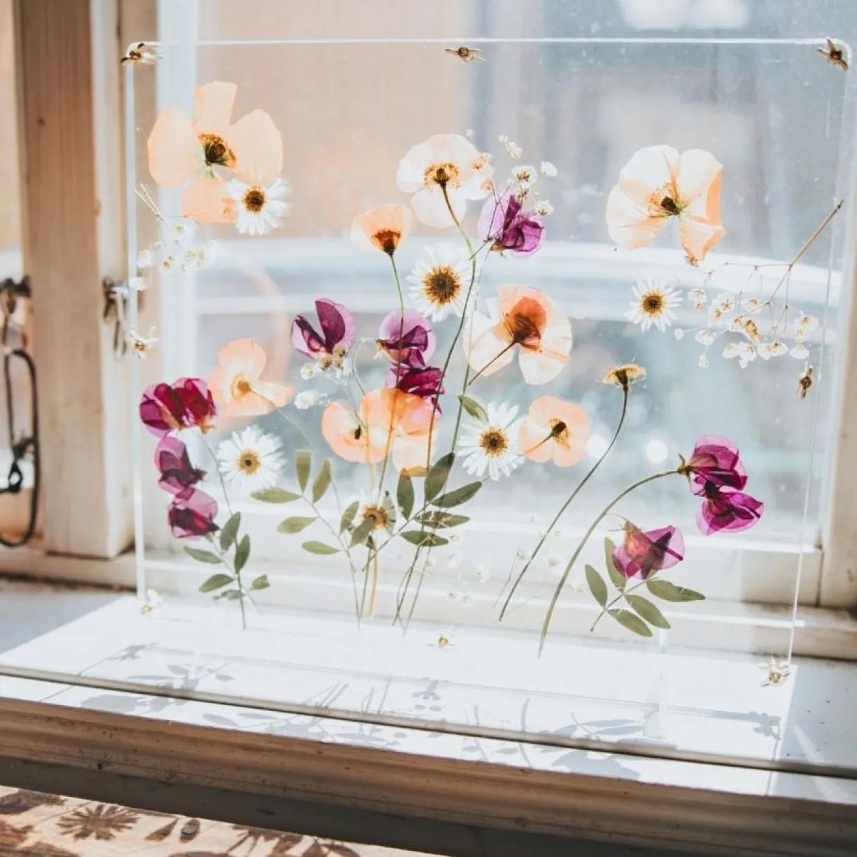 Blompress Ängsfälla Fönster