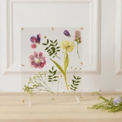 Blompress Ängsfälla Fönster