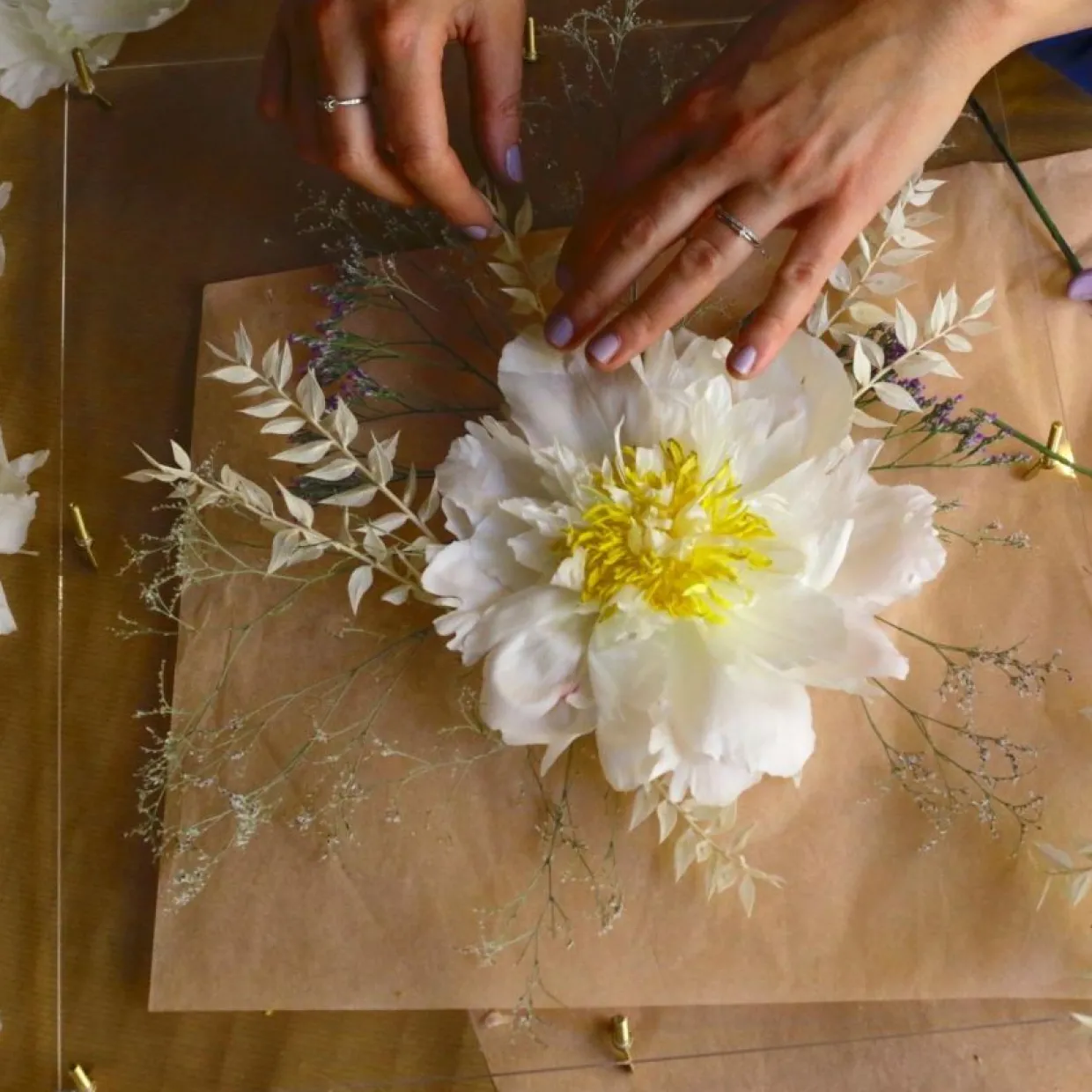 Blompress Ängsfälla Fönster