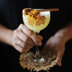 Bok Vilda drinkar - en smak av naturen