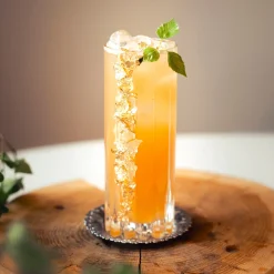 Bok Vilda drinkar - en smak av naturen