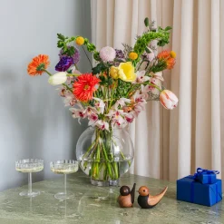 Champagne Coupe Frill 2-pack Klar