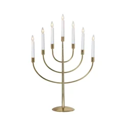 Elljustake Titus Mässing