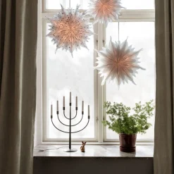 Elljustake Titus Svart