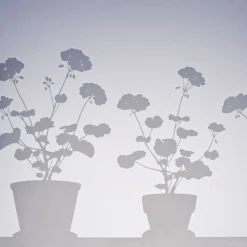 Fönstermönster Pelargon stor