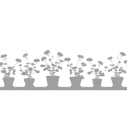 Fönstermönster Pelargon stor