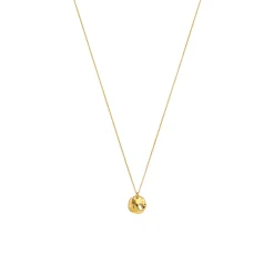 Halsband Paxton Long Guld