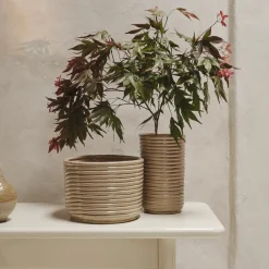 Kruka Corduroy - Cashmere