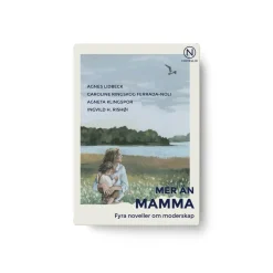 Novellix Mer än mamma