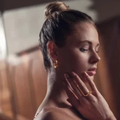 Örhängen Sten guld