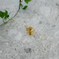 Ring Loop Guld