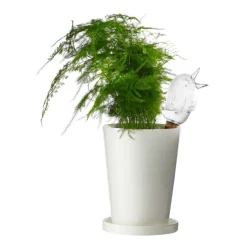 Självvattnare Bördy