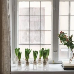 Vas Keeper Struktur S