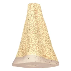 Vas Volcano Large Gul