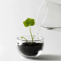 Växthus Grow Glas S