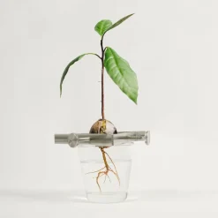 Växtställ Regrow Svart