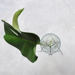 Växtställ Regrow Svart