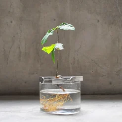 Växtställ Regrow Svart